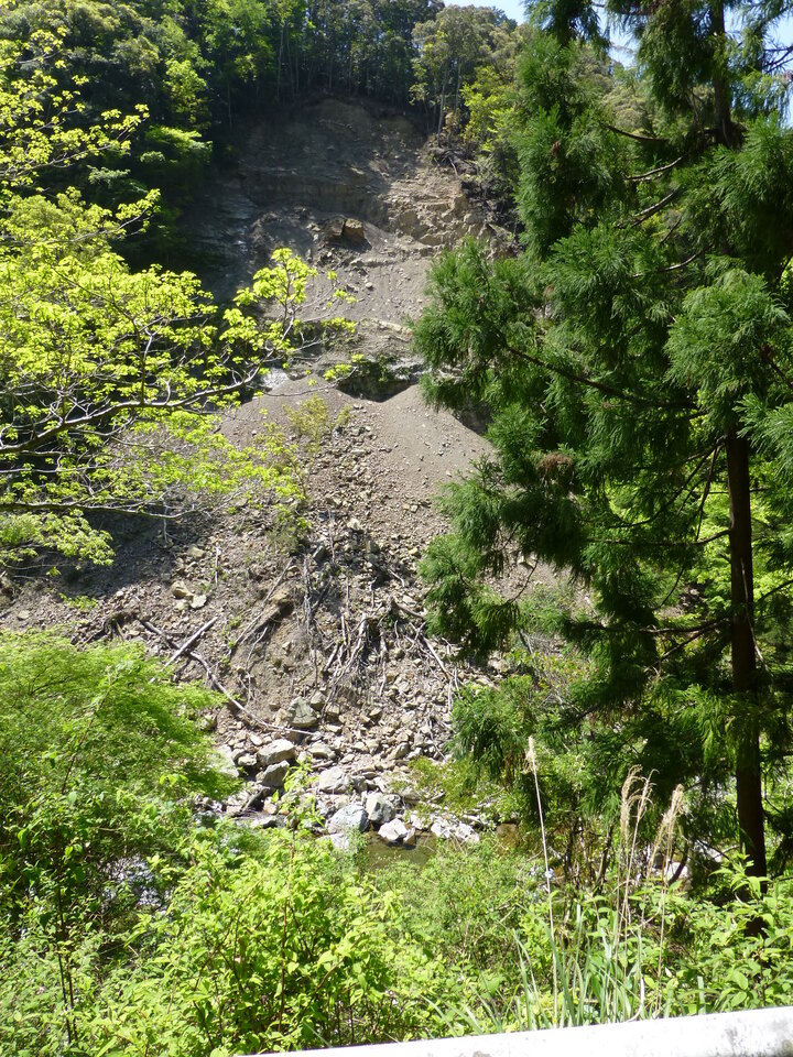 P1050238_mid.jpg