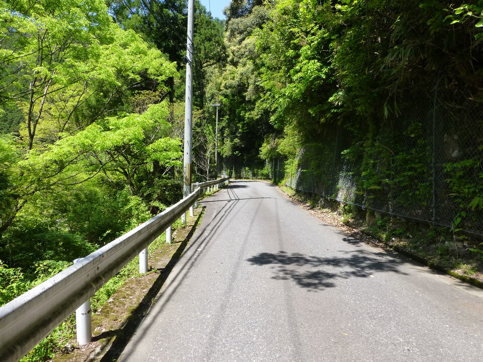 P1050239_mid.jpg