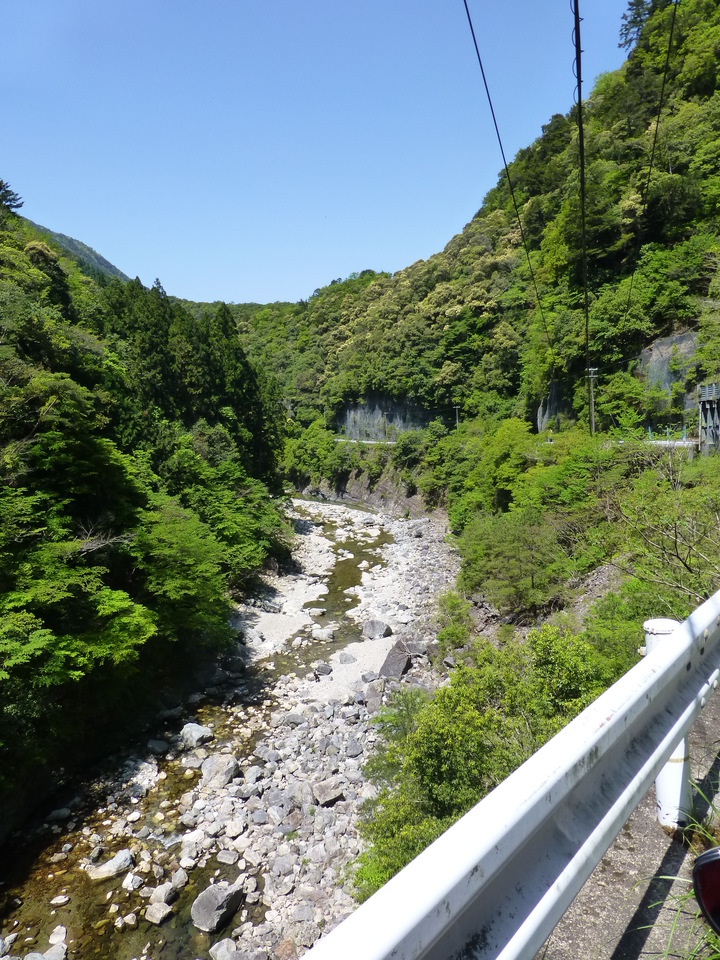 P1050242_mid.jpg