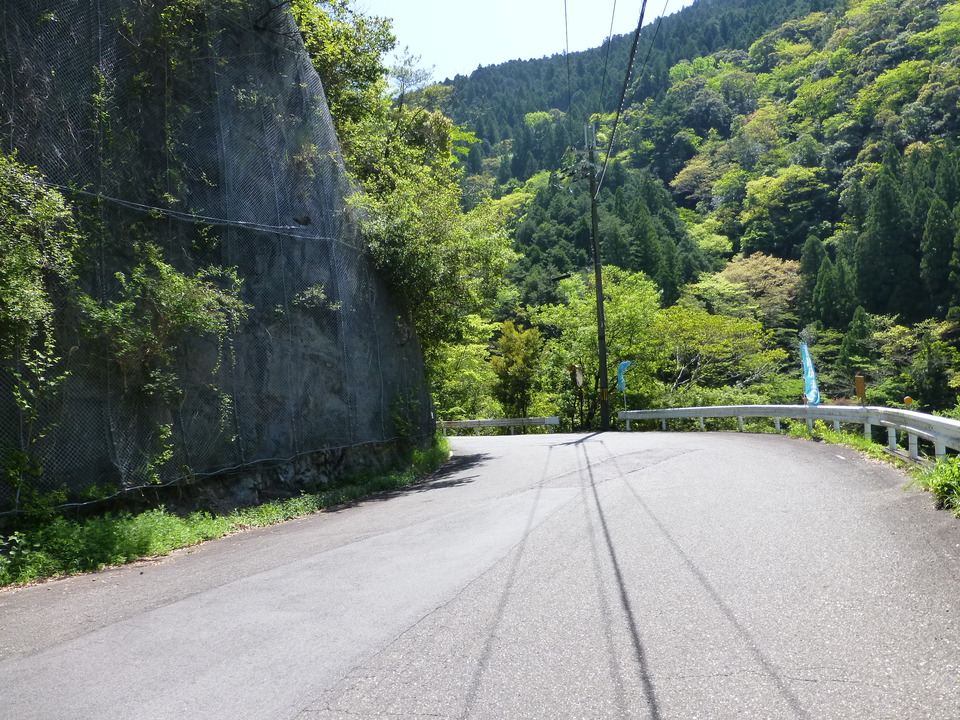 P1050243_mid.jpg