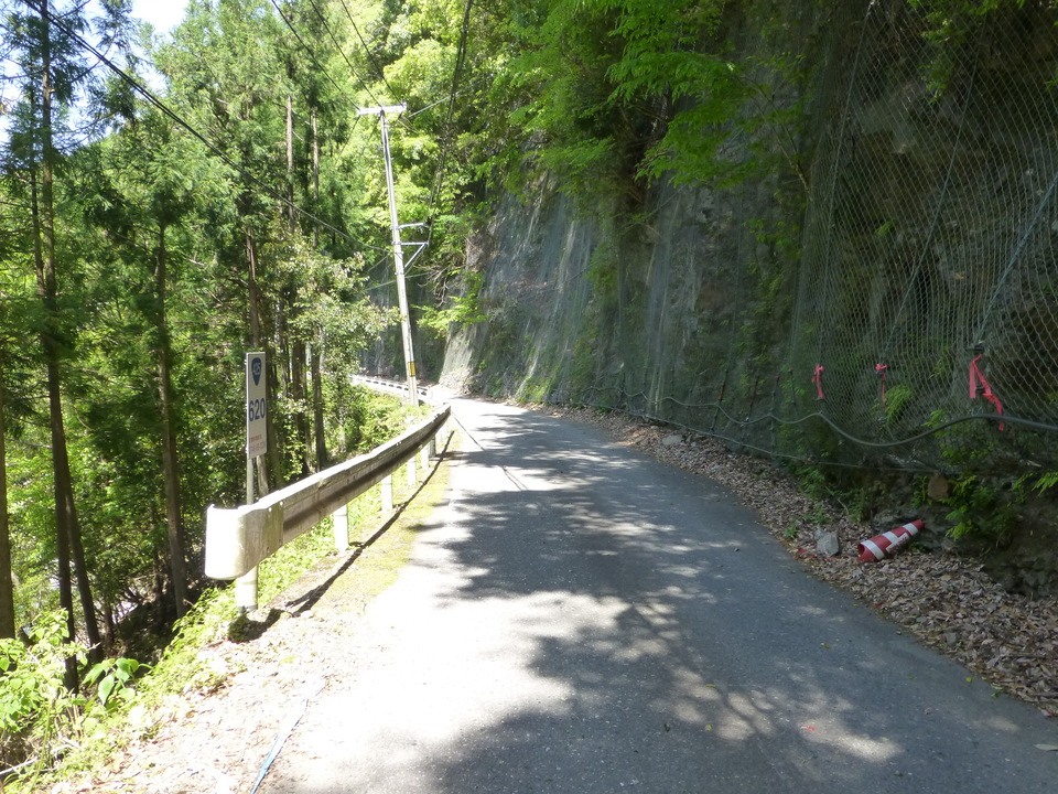 P1050245_mid.jpg