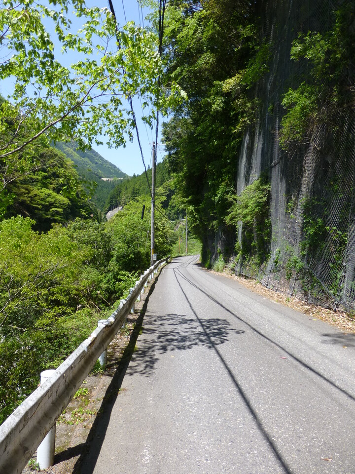P1050247_mid.jpg