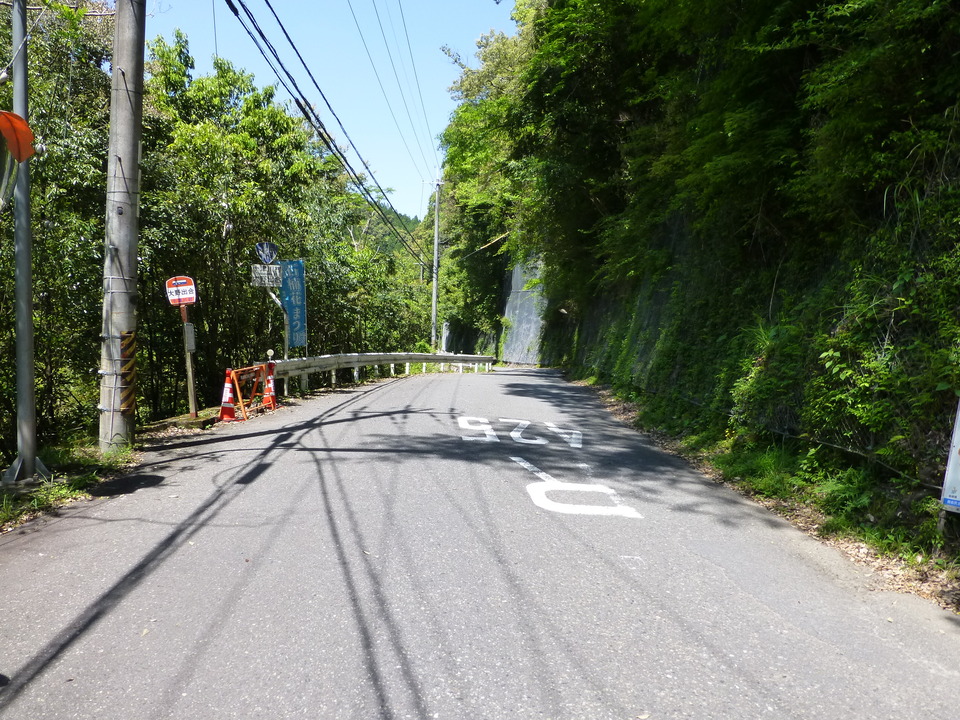 P1050251_mid.jpg