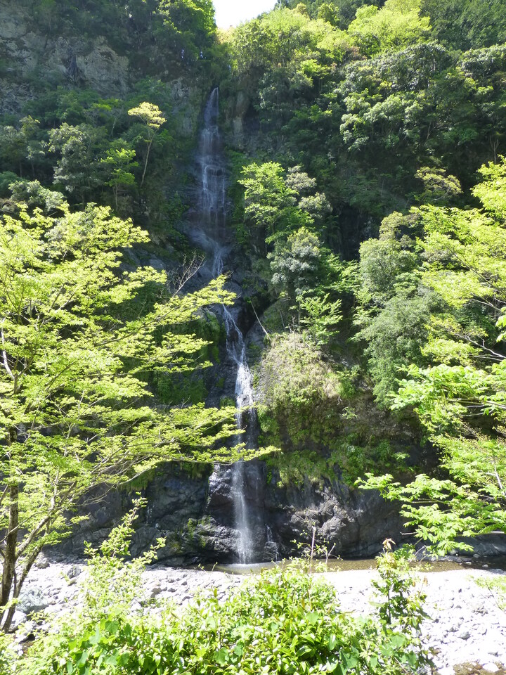 P1050252_mid.jpg