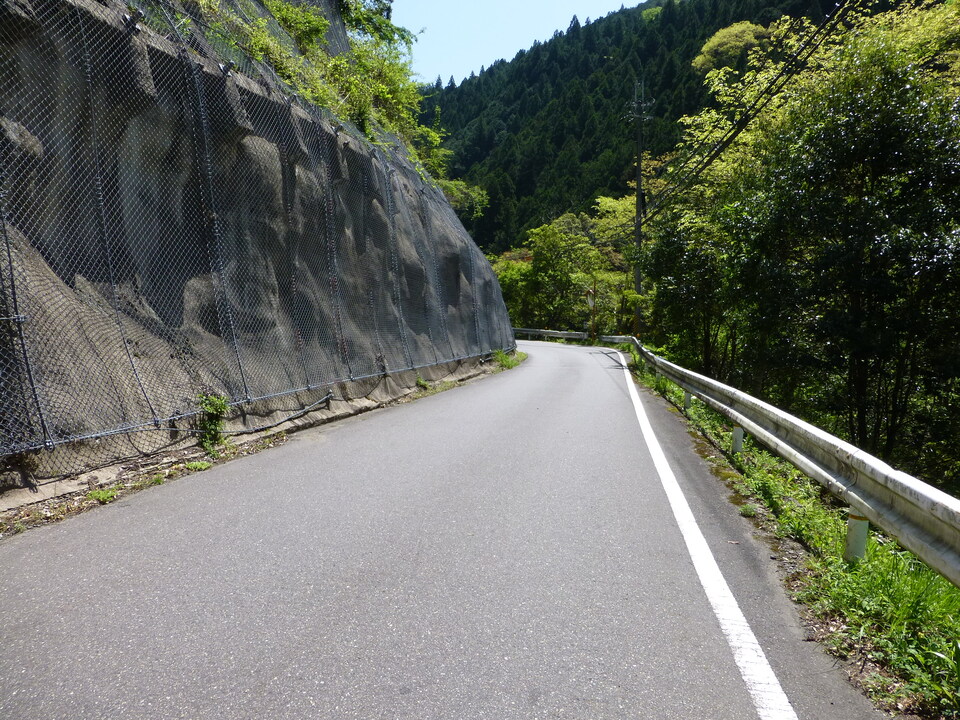 P1050254_mid.jpg