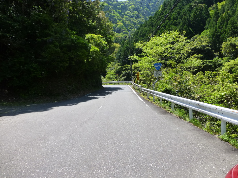 P1050258_mid.jpg