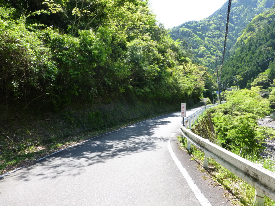 P1050261_mid.jpg