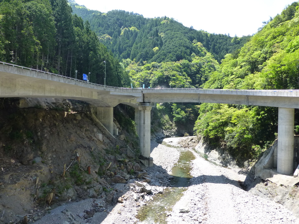 P1050268_mid.jpg