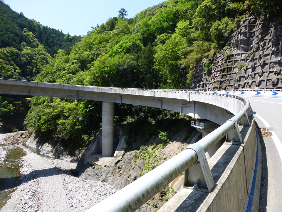 P1050269_mid.jpg
