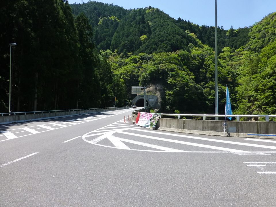 P1050275_mid.jpg
