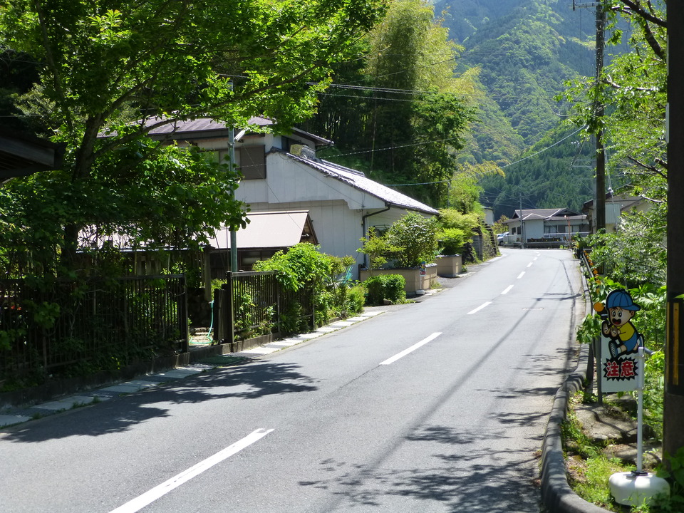 P1050286_mid.jpg