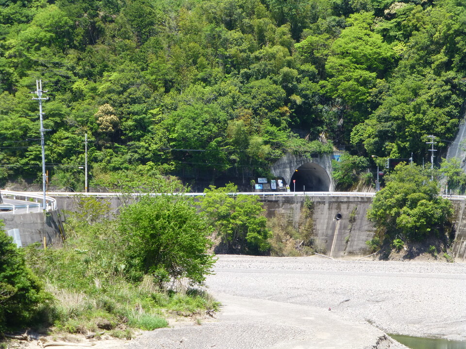 P1050307_mid.jpg