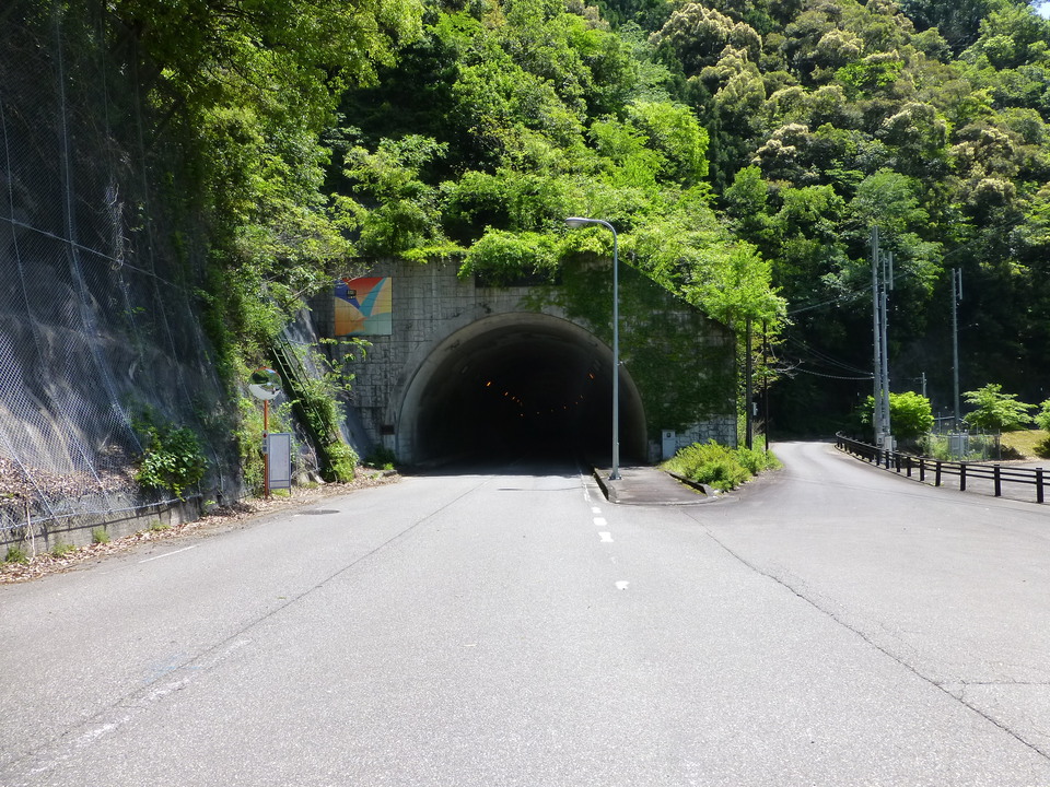 P1050312_mid.jpg