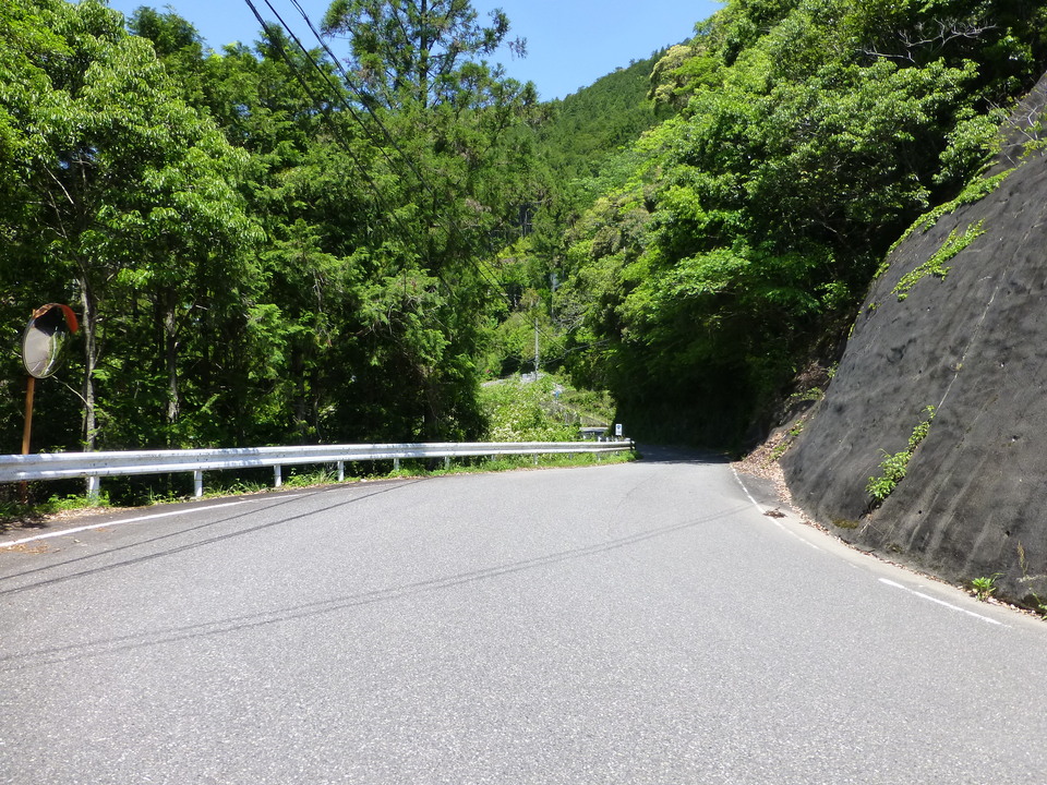 P1050314_mid.jpg