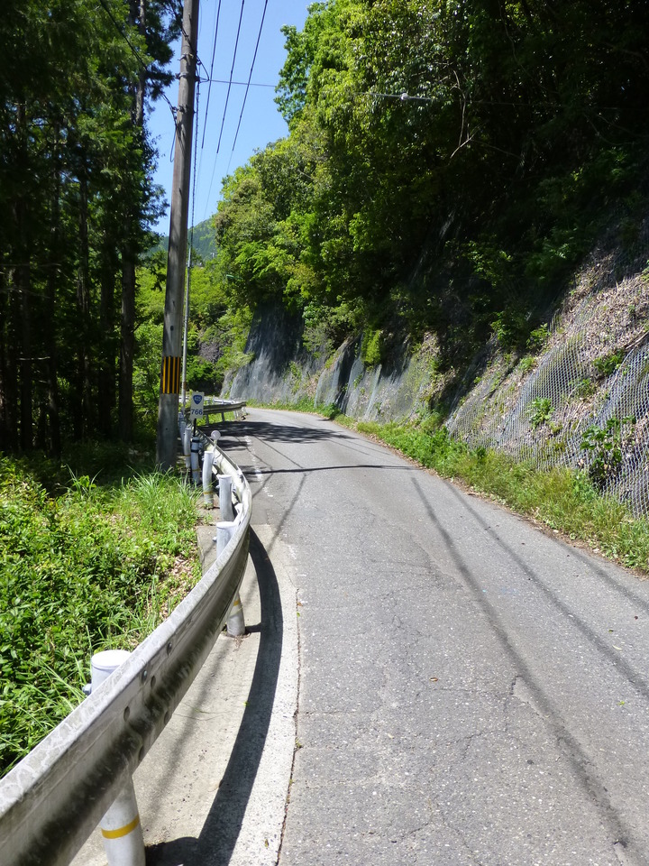 P1050319_mid.jpg