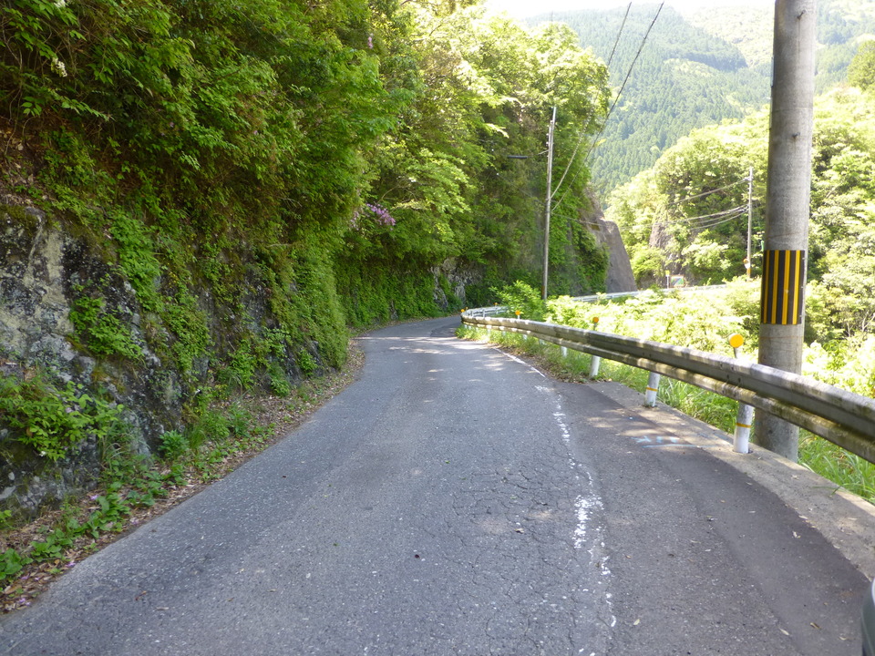 P1050324_mid.jpg