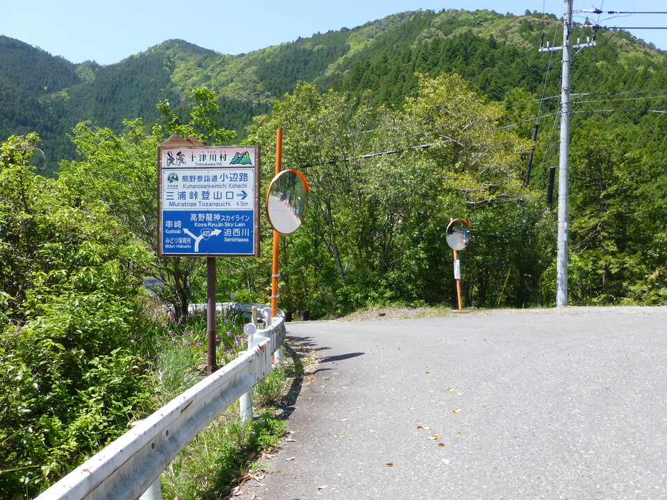 P1050325_mid.jpg