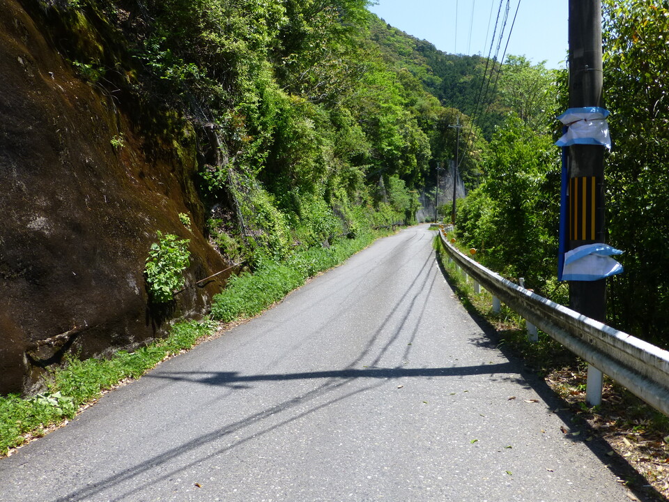 P1050327_mid.jpg
