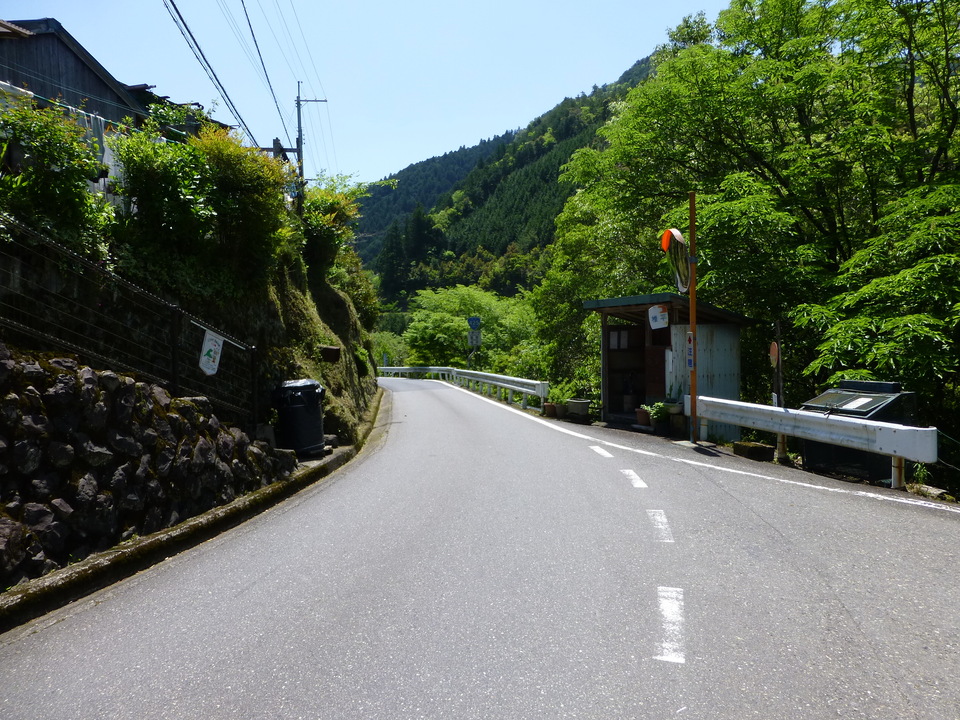 P1050336_mid.jpg