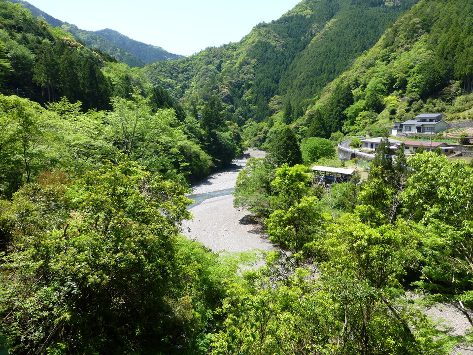 P1050341_mid.jpg