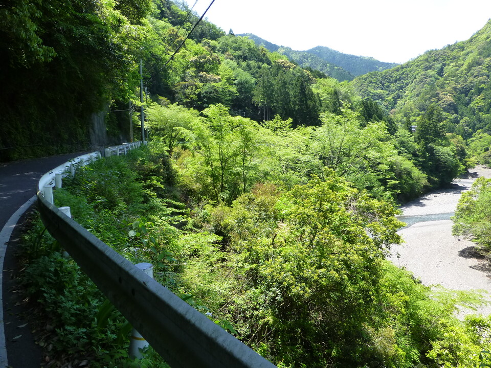 P1050342_mid.jpg