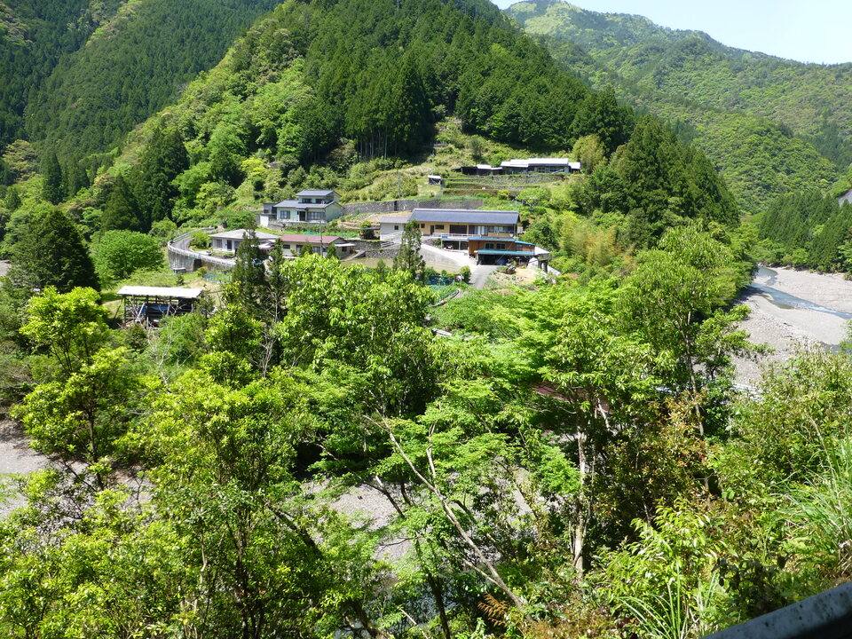 P1050343_mid.jpg