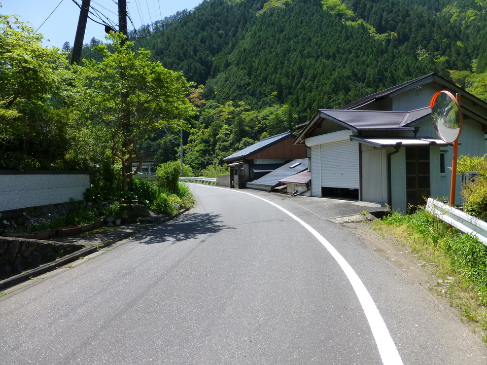 P1050346_mid.jpg