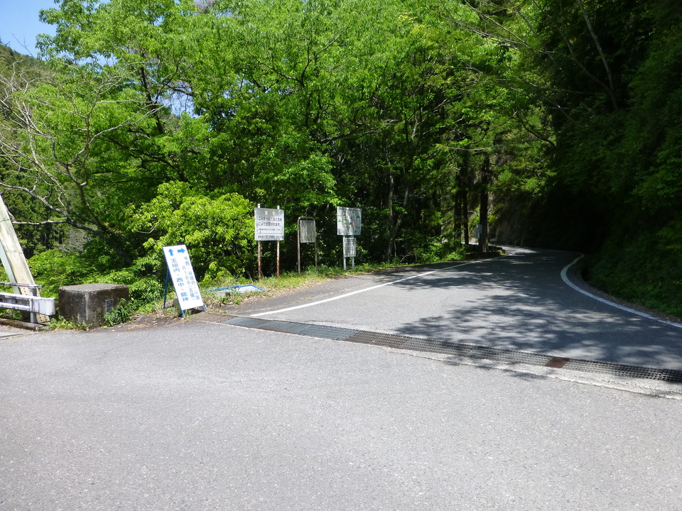 P1050352_mid.jpg