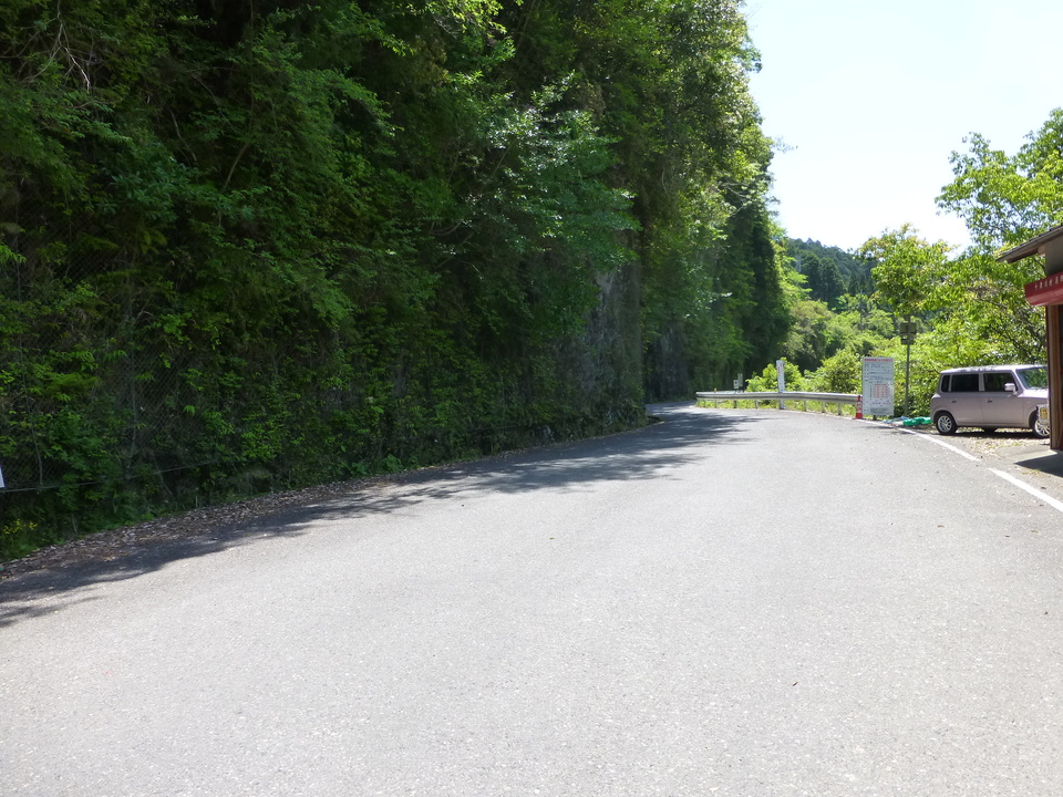 P1050354_mid.jpg