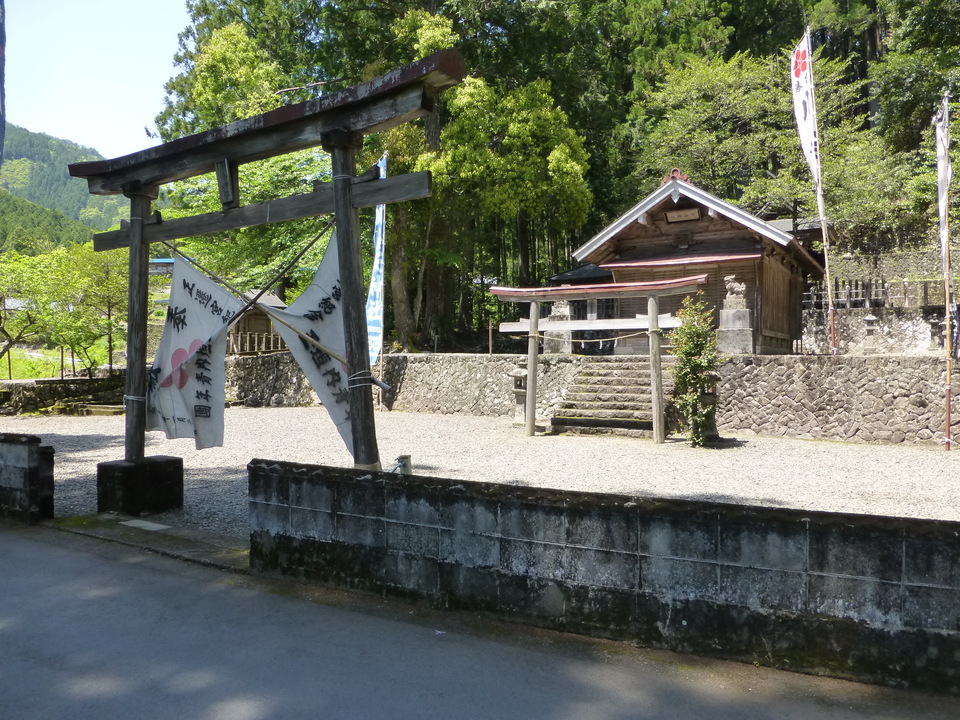P1050356_mid.jpg