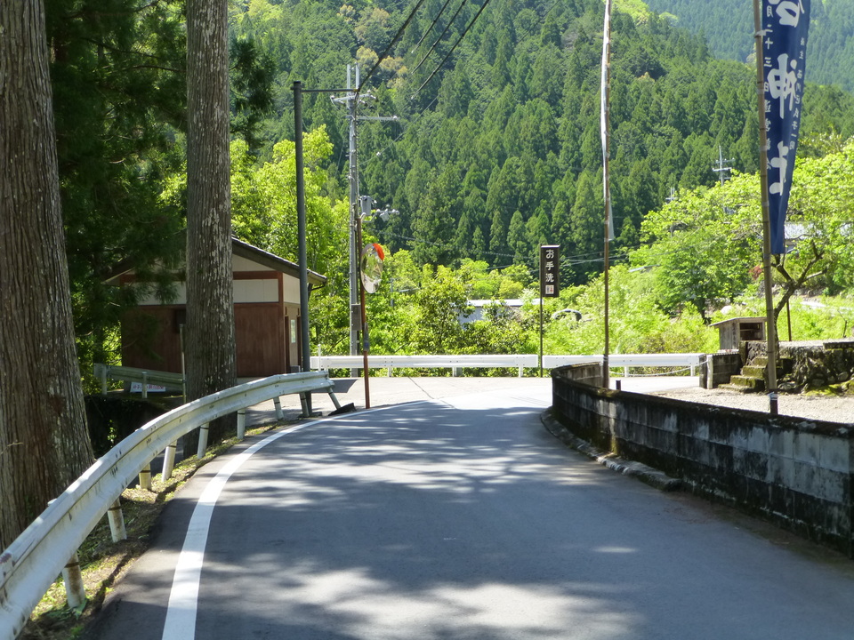 P1050357_mid.jpg