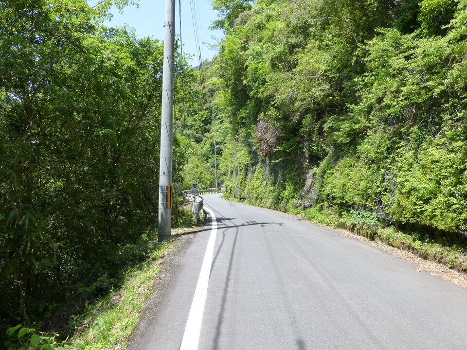 P1050359_mid.jpg