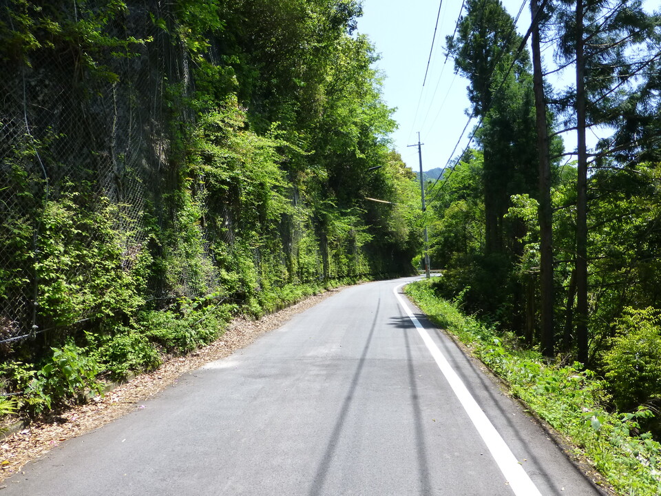 P1050361_mid.jpg