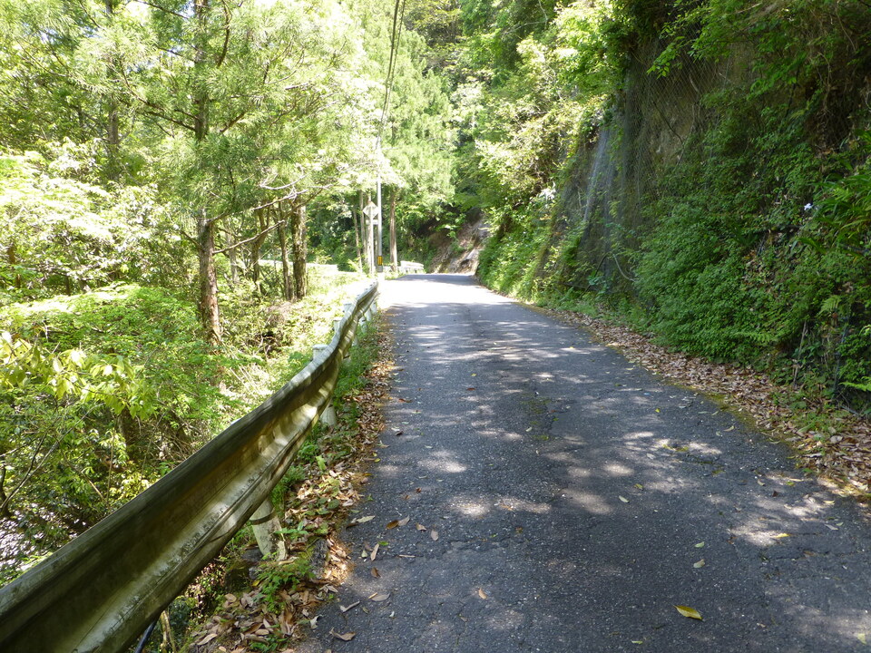 P1050362_mid.jpg