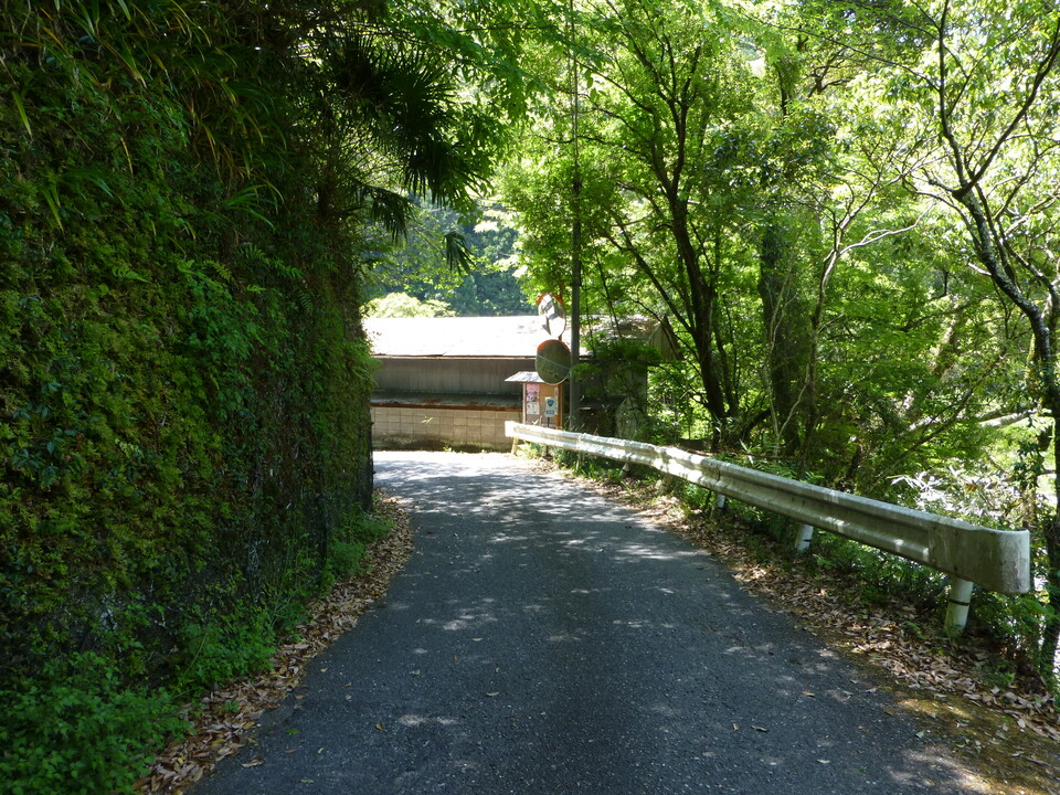 P1050363_mid.jpg