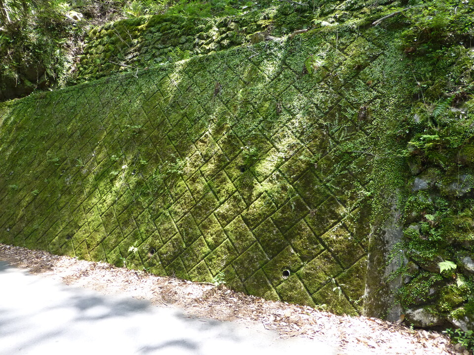 P1050365_mid.jpg