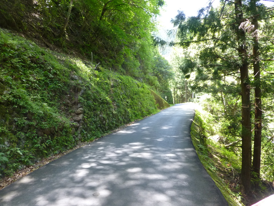 P1050367_mid.jpg