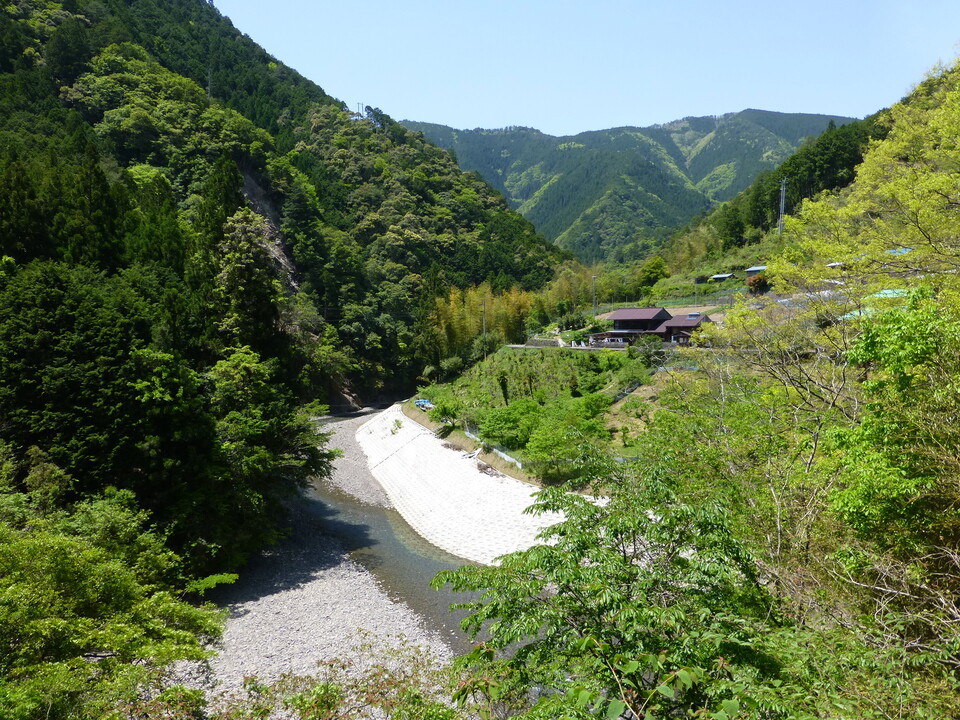 P1050370_mid.jpg
