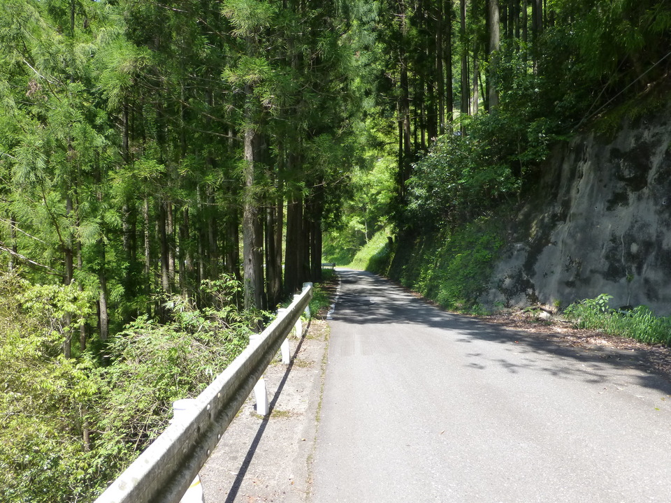 P1050372_mid.jpg