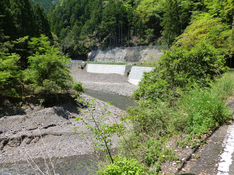 P1050378_mid.jpg