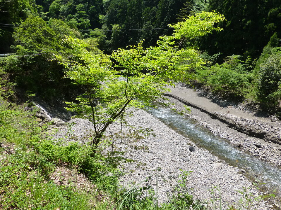 P1050379_mid.jpg