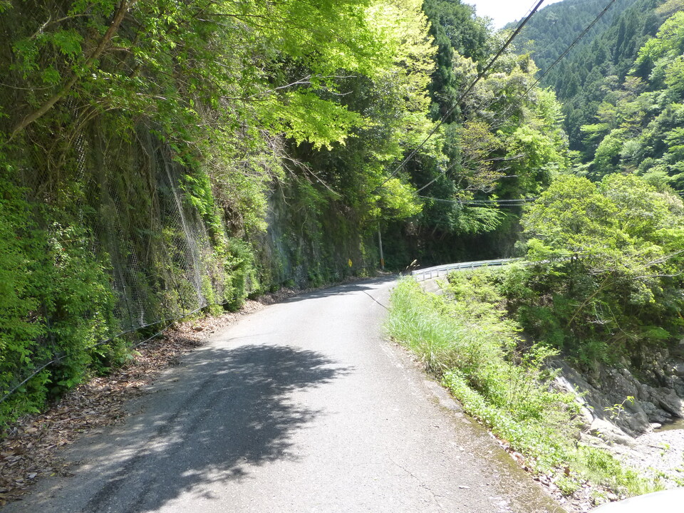 P1050380_mid.jpg