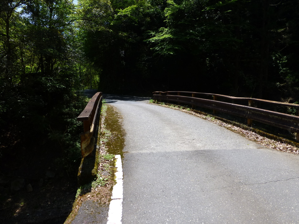 P1050381_mid.jpg