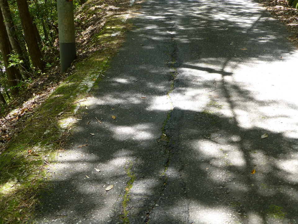 P1050383_mid.jpg