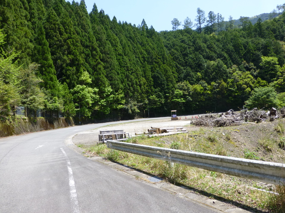 P1050390_mid.jpg
