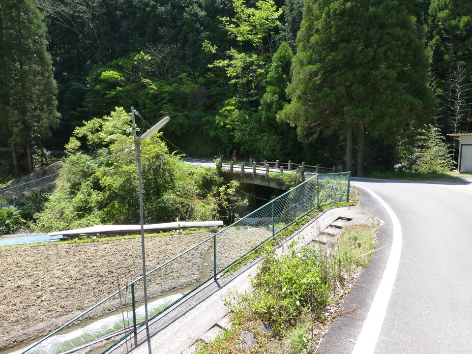 P1050393_mid.jpg