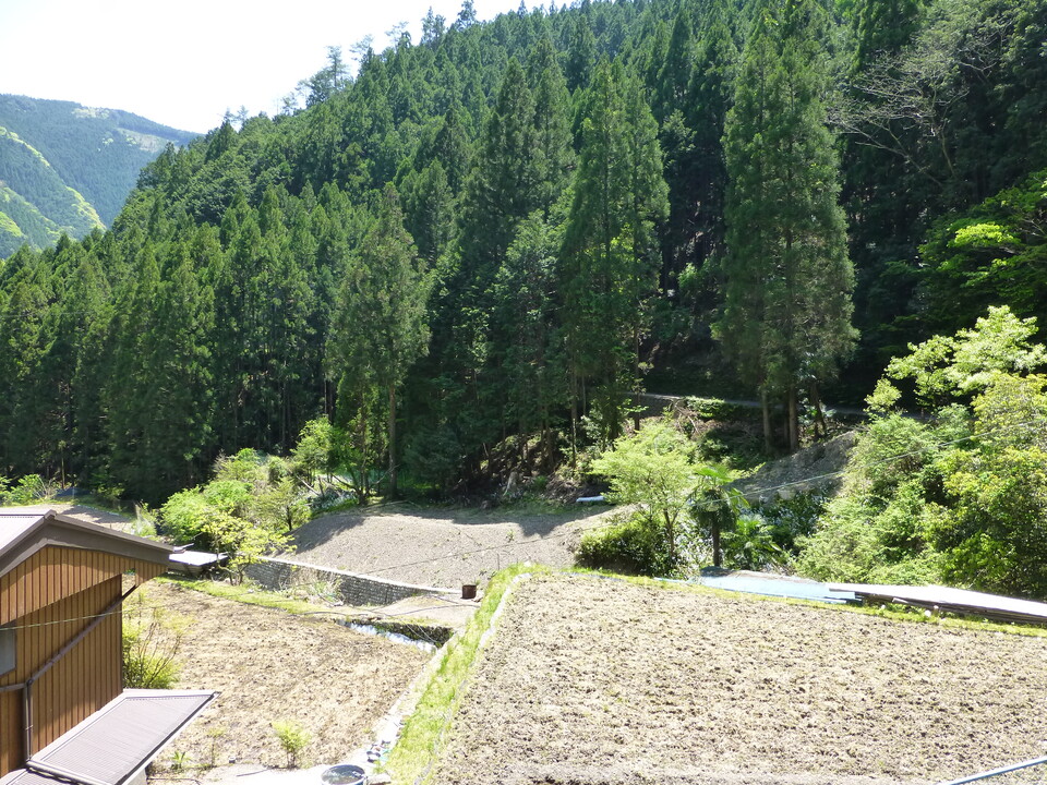 P1050394_mid.jpg