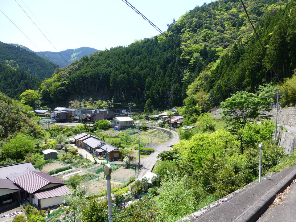P1050396_mid.jpg
