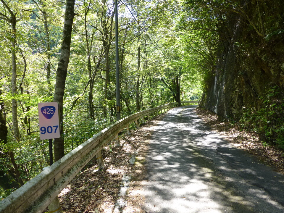 P1050400_mid.jpg