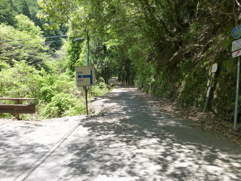 P1050406_mid.jpg